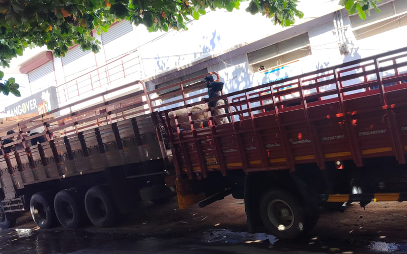 Inter Transport Company